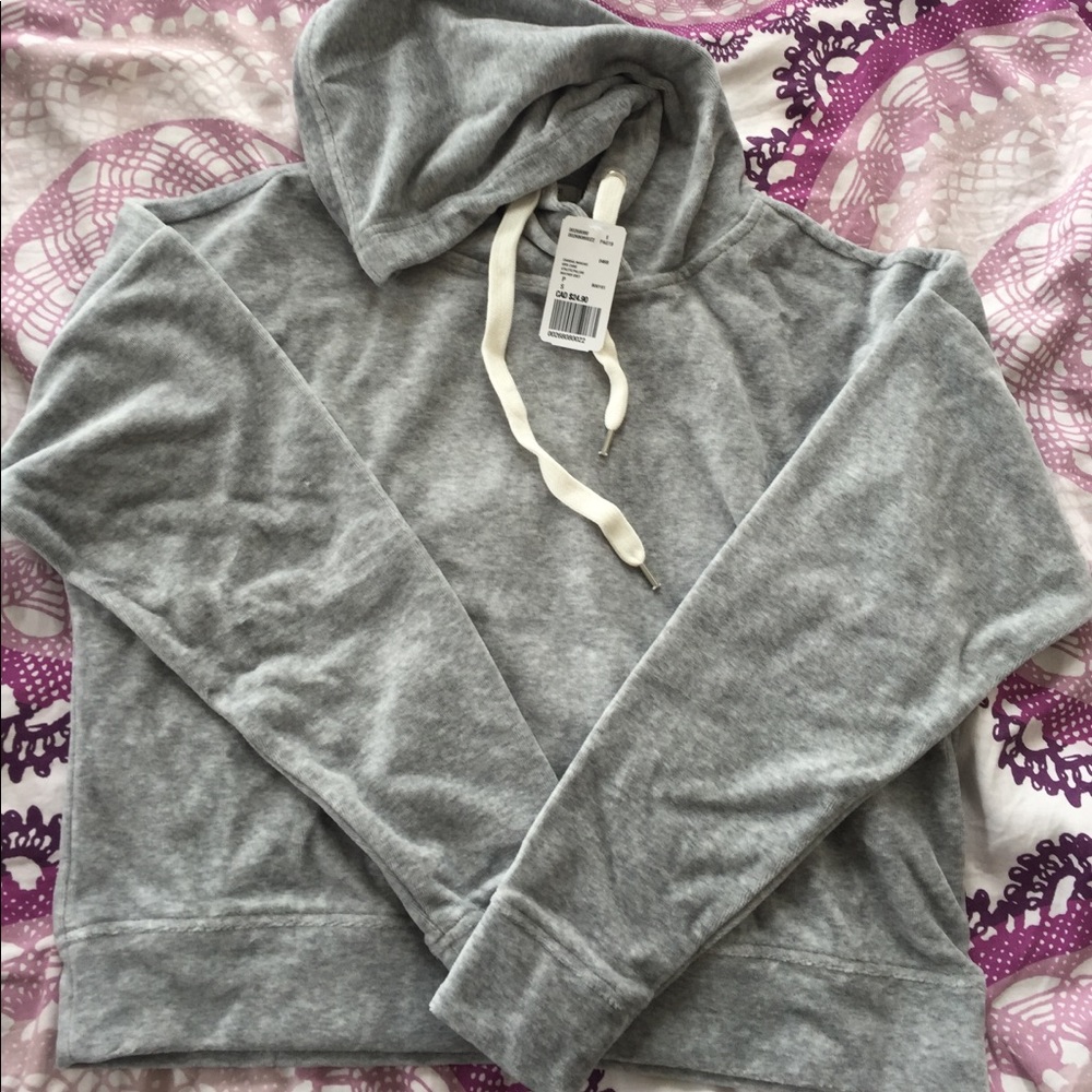 Grey Forever 21 Velour Hoodie